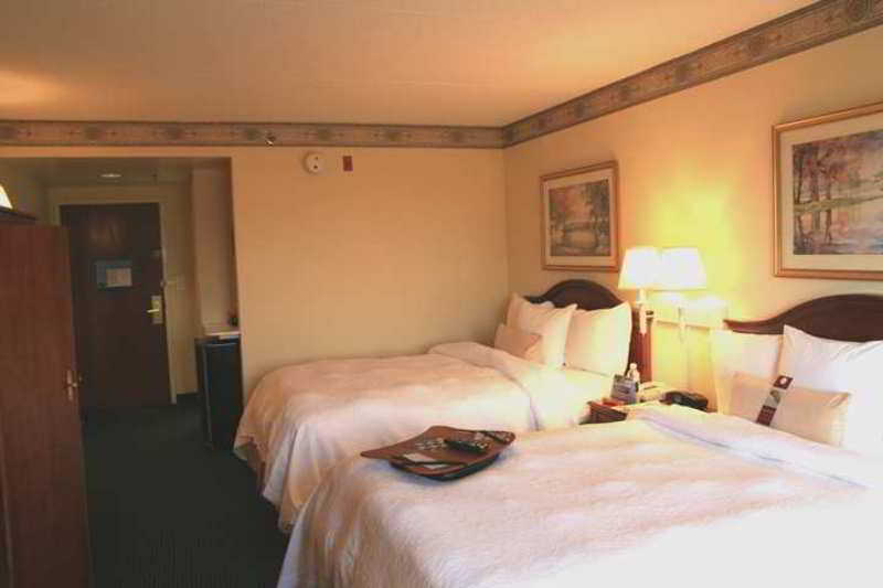 Hotel Hampton & Atlanta-galleria 3*